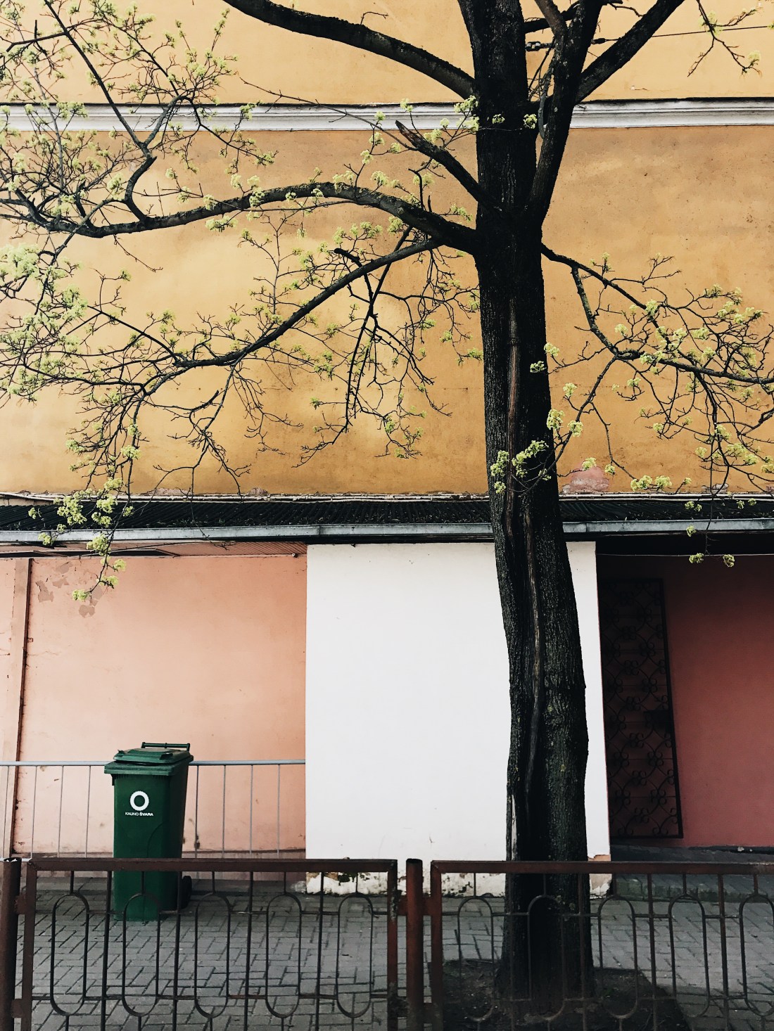 Processed with VSCO with a6 preset