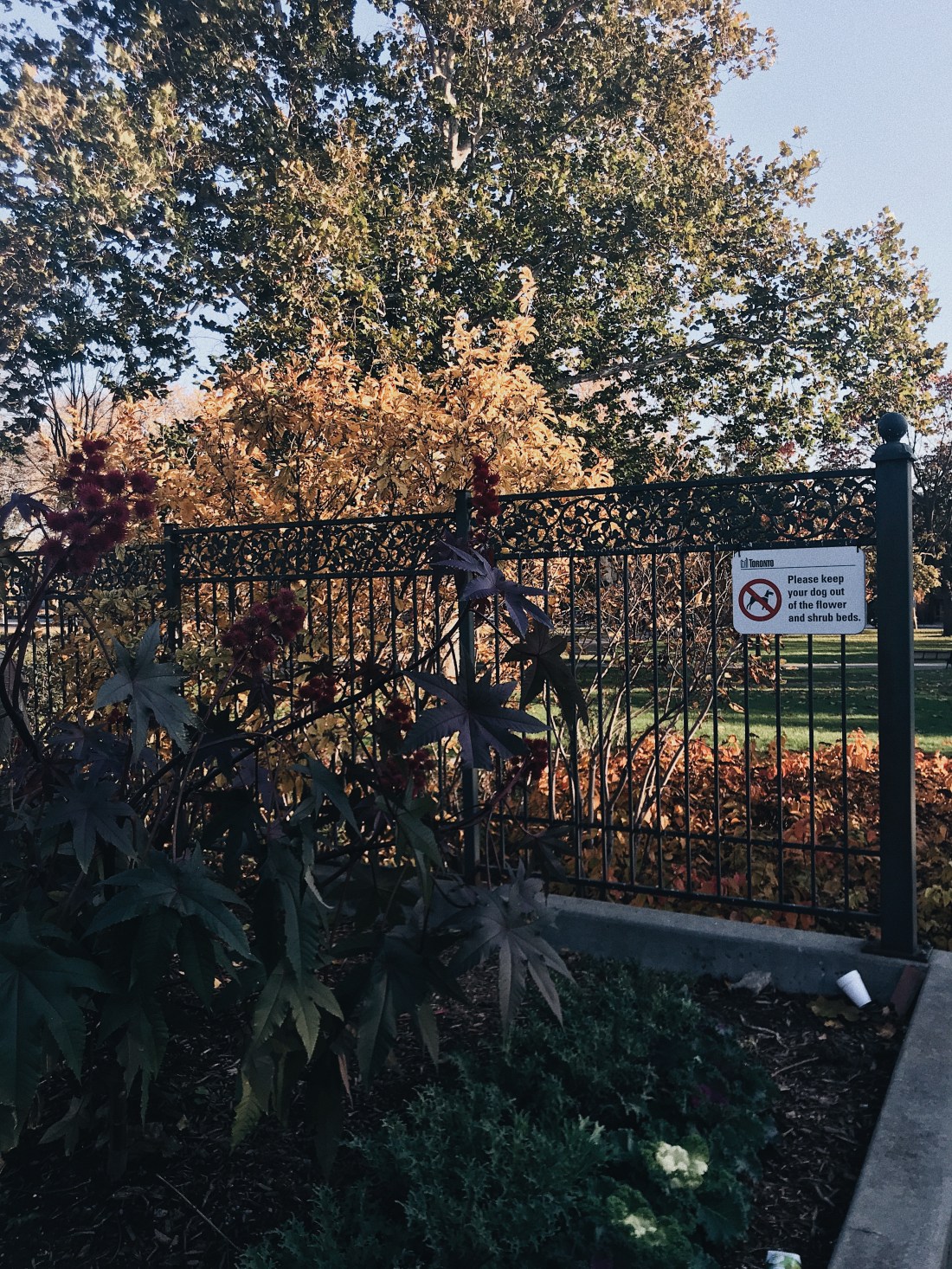 Processed with VSCO with a6 preset