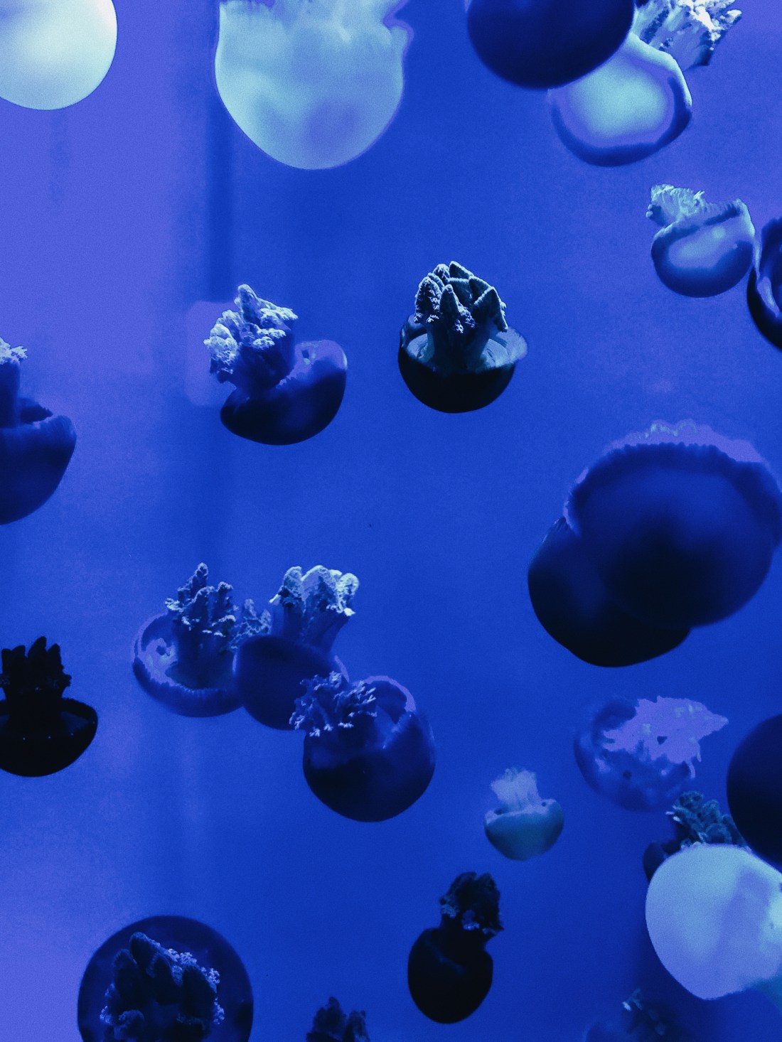 Processed with VSCO with a6 preset