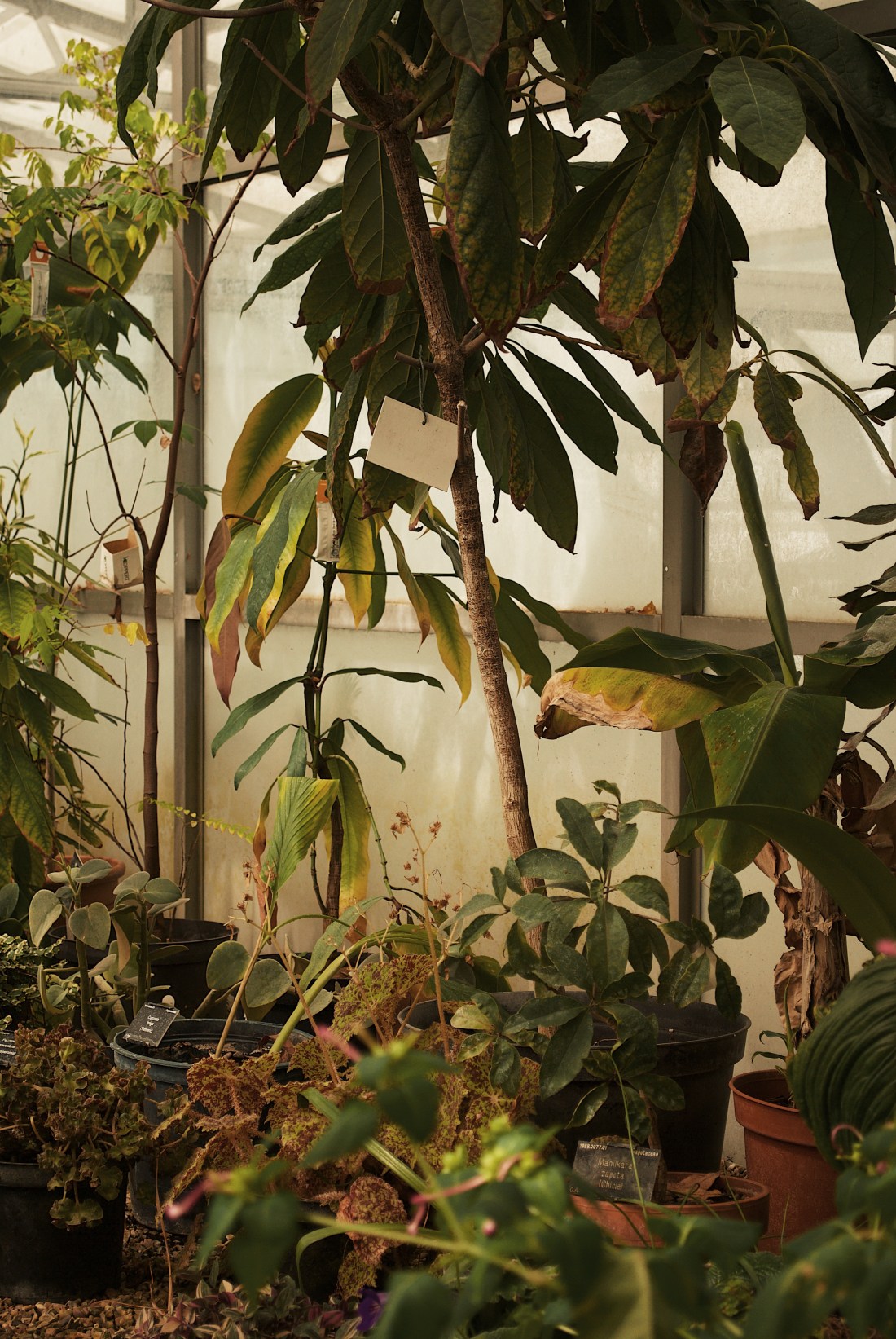 Processed with VSCO with g7 preset