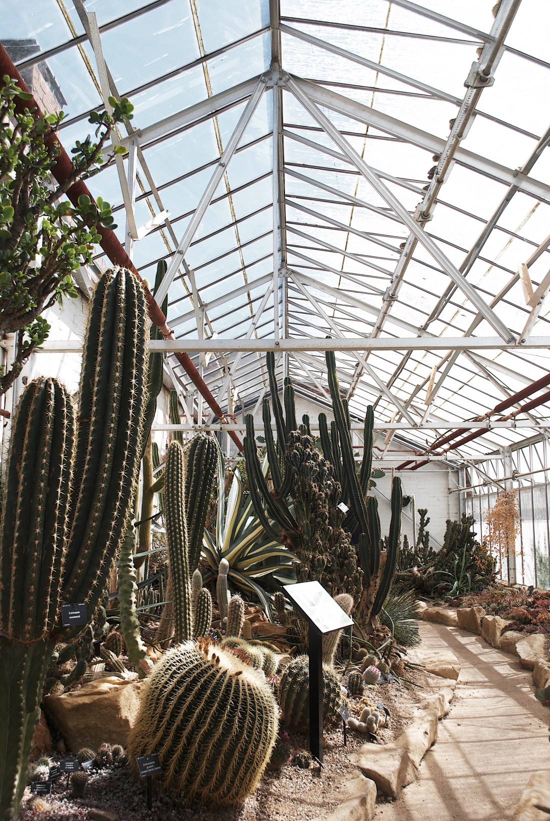 Processed with VSCO with g7 preset