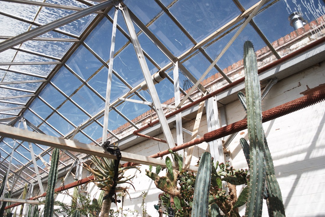 Processed with VSCO with g7 preset