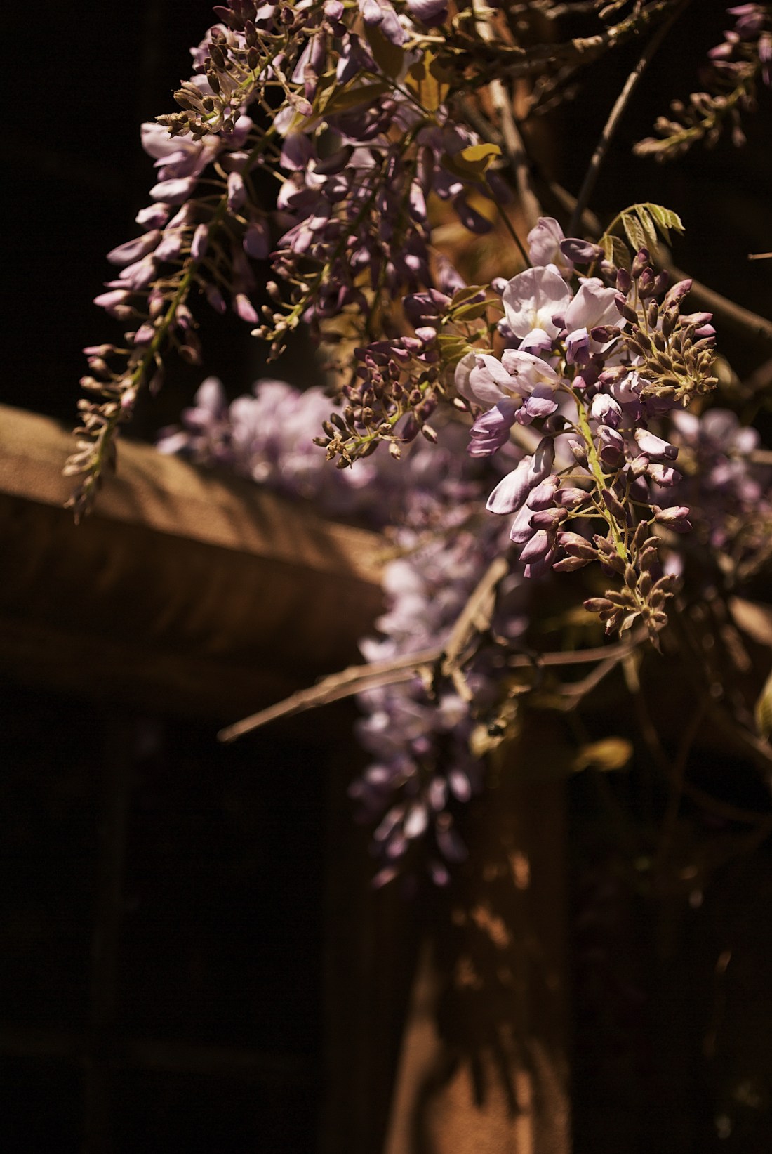 Processed with VSCO with g7 preset