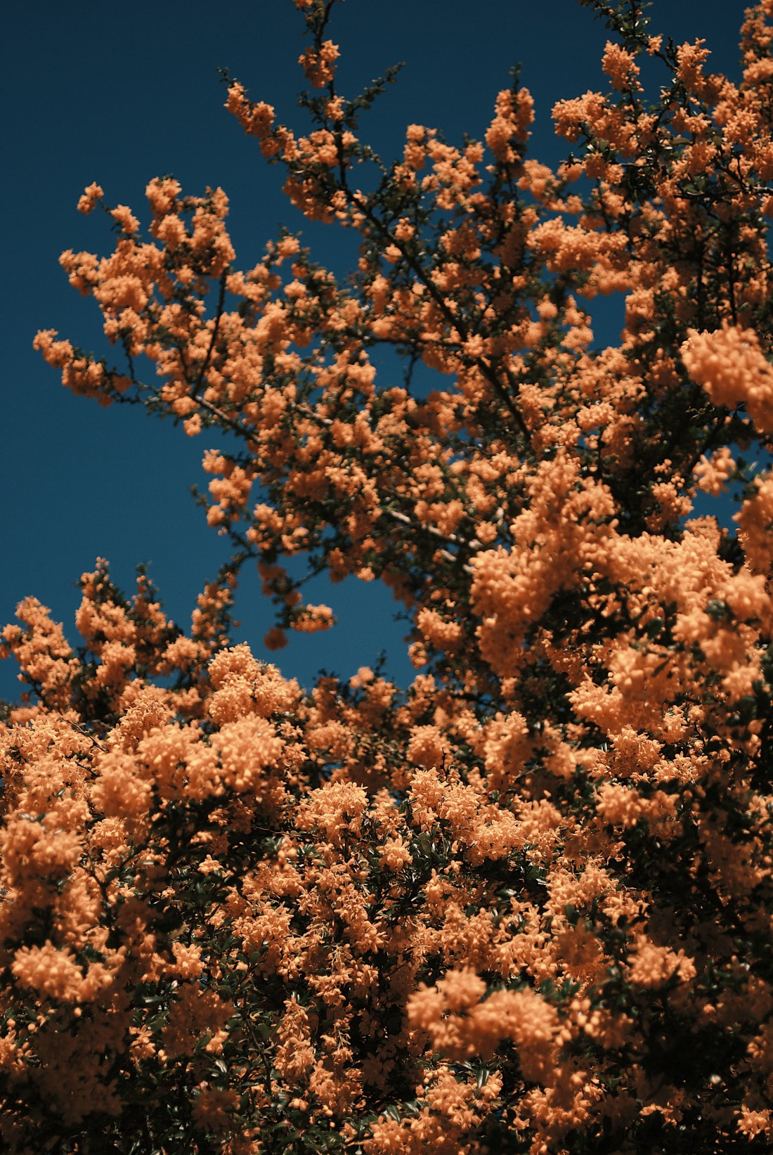 Processed with VSCO with j4 preset