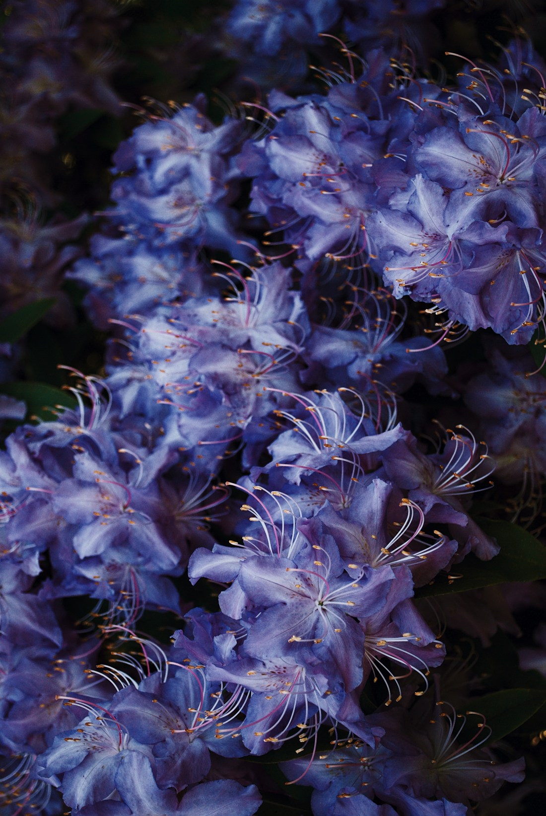 Processed with VSCO with j2 preset