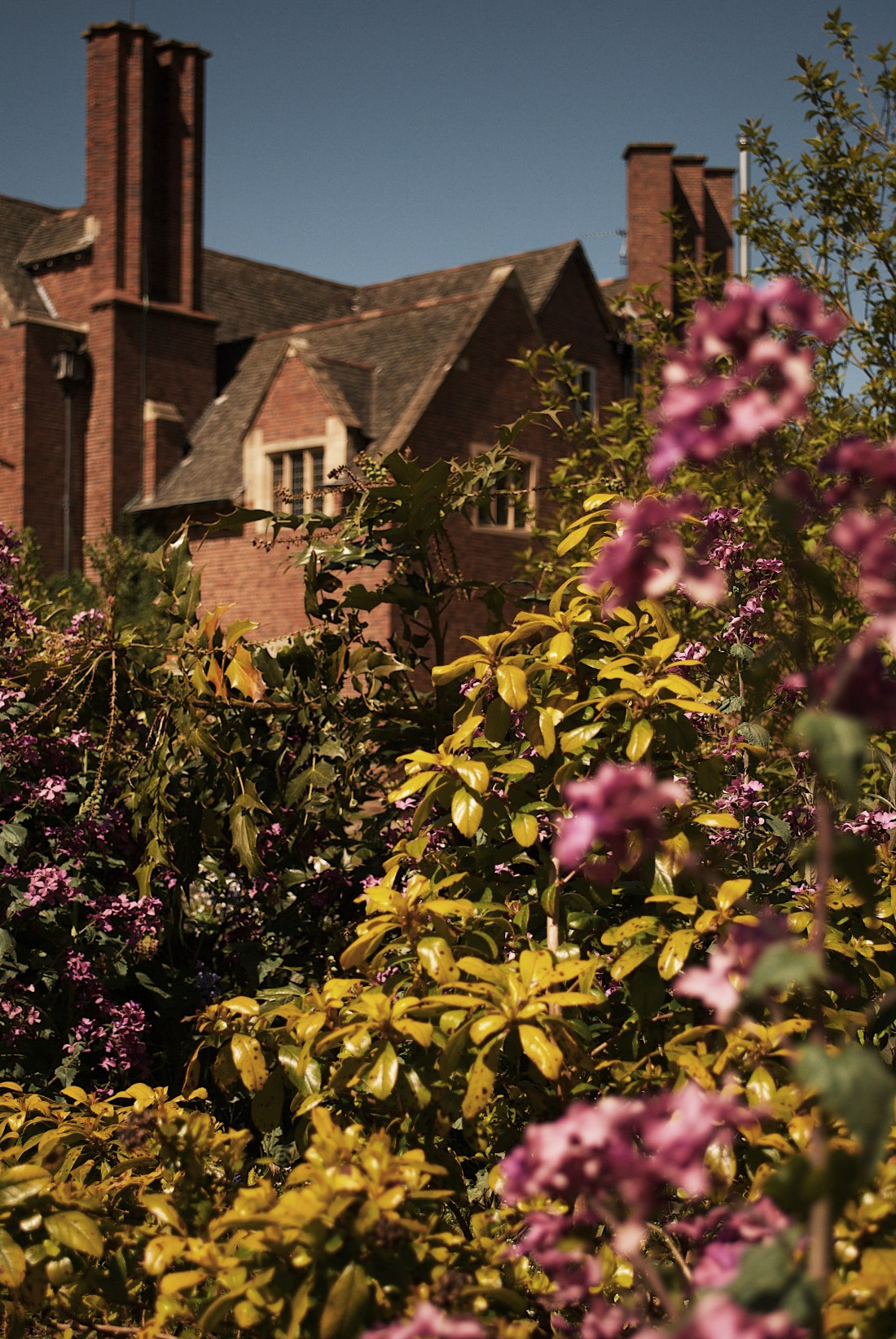 Processed with VSCO with g7 preset