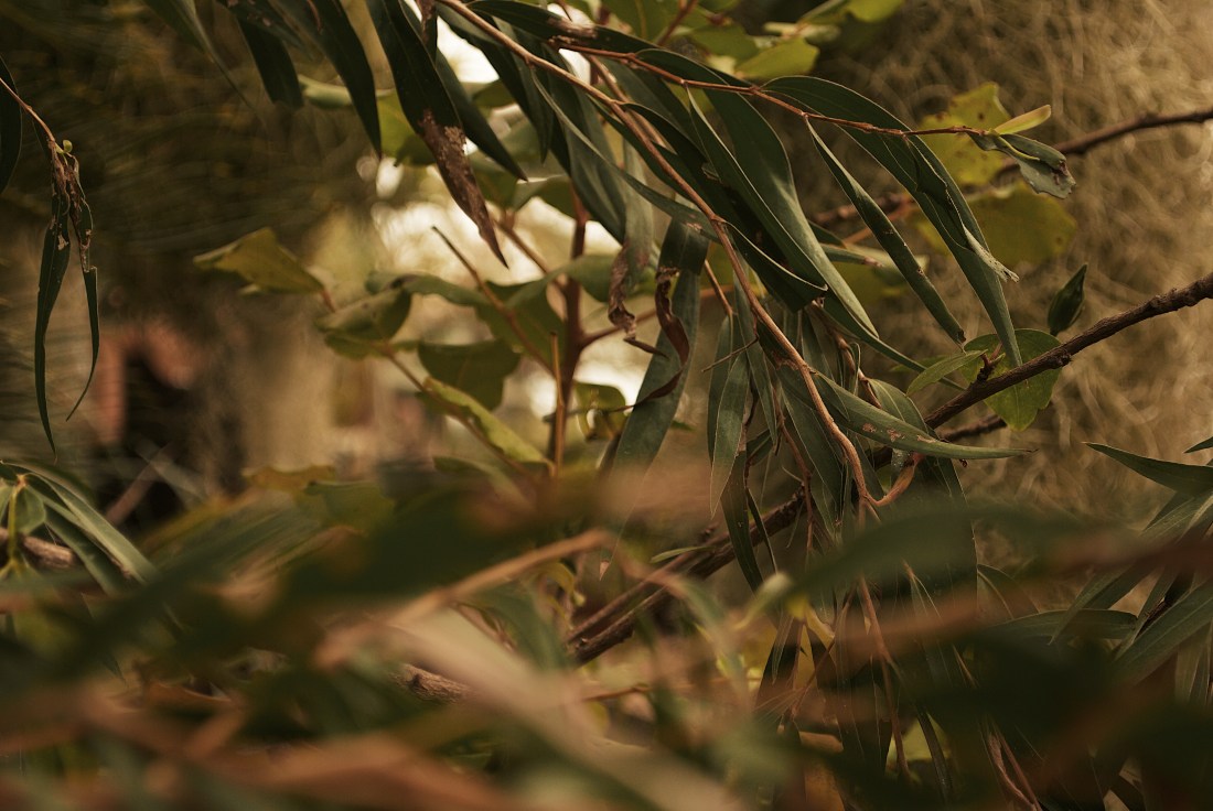 Processed with VSCO with g7 preset