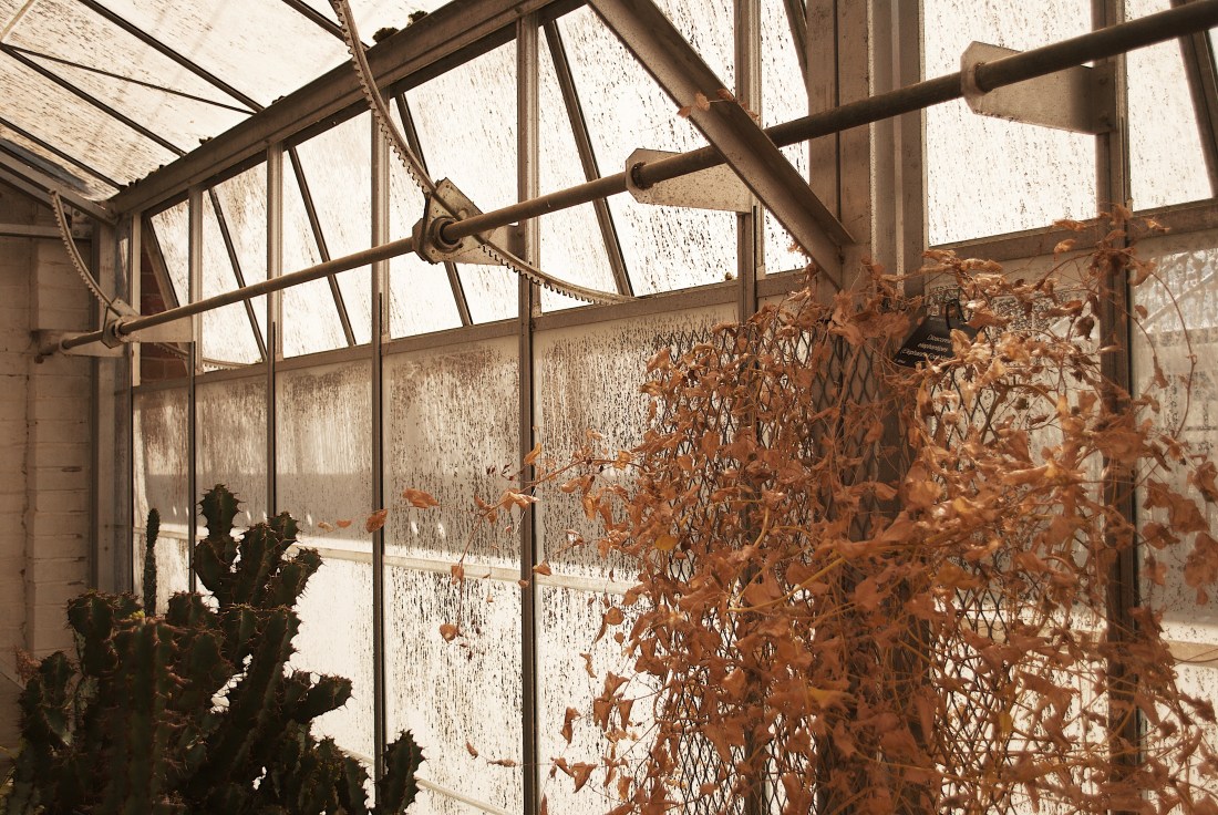 Processed with VSCO with g7 preset