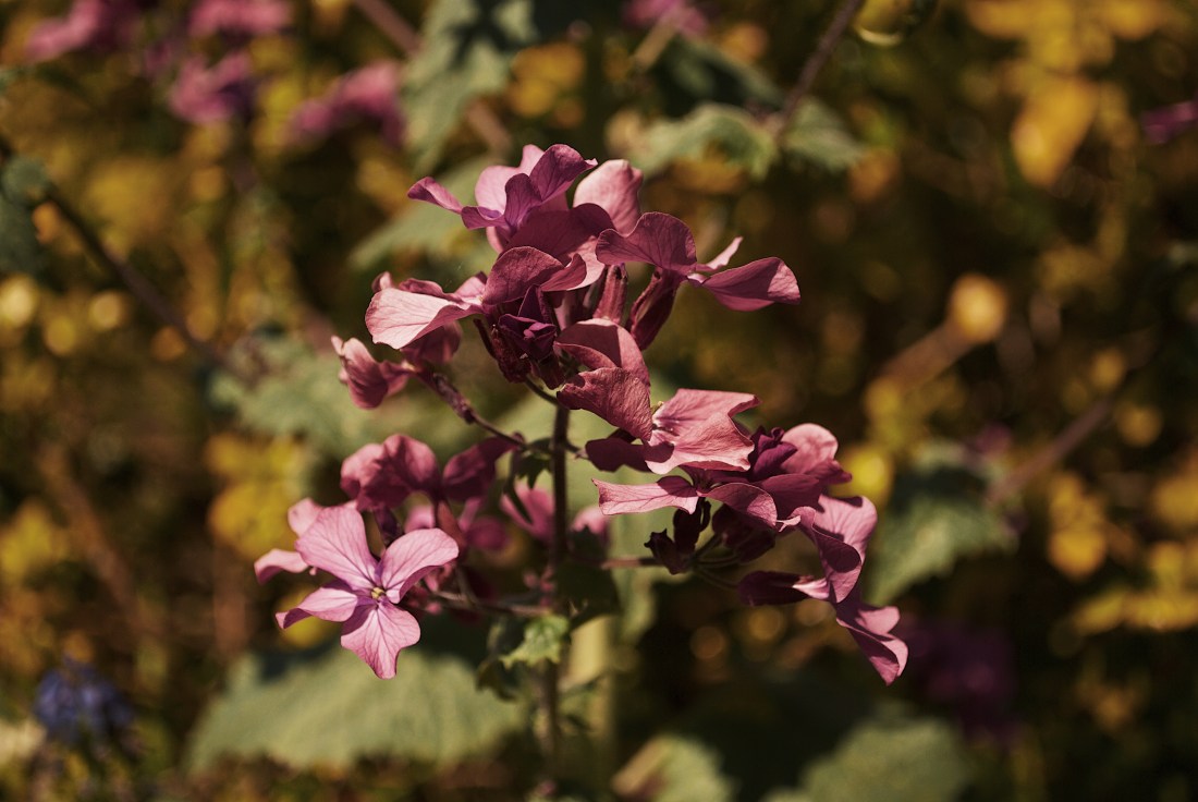 Processed with VSCO with g7 preset