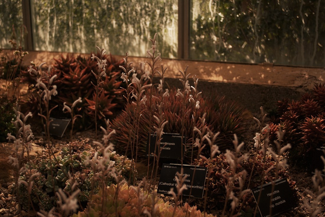 Processed with VSCO with g7 preset