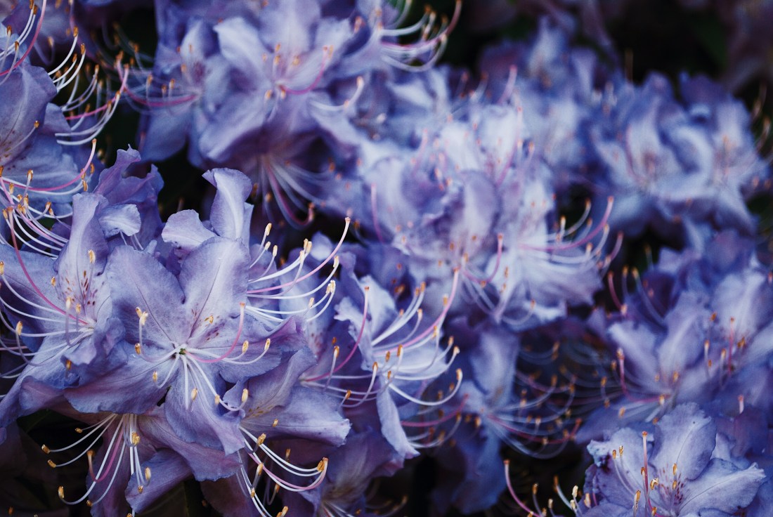 Processed with VSCO with j2 preset