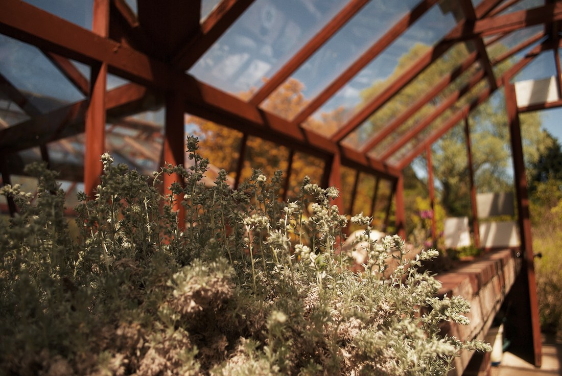 Processed with VSCO with g7 preset