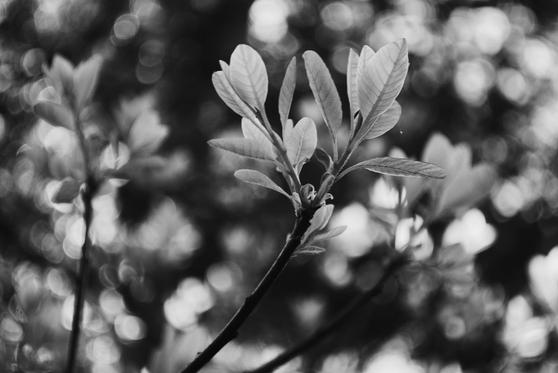 Processed with VSCO with 3 preset