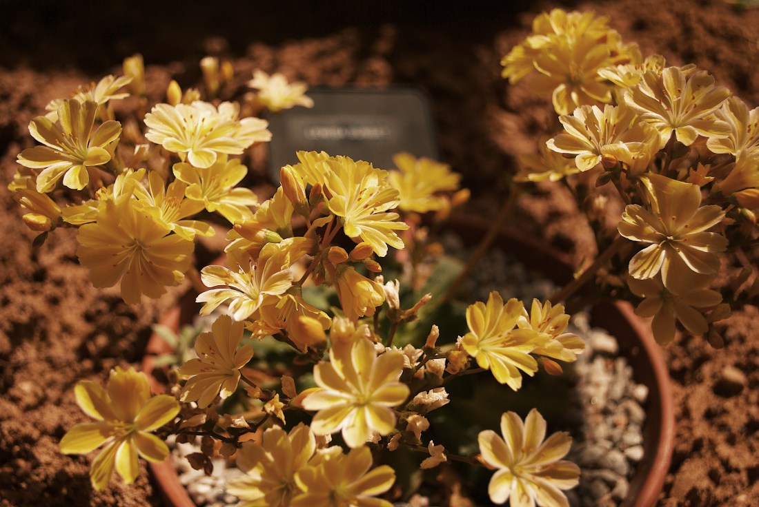 Processed with VSCO with g7 preset