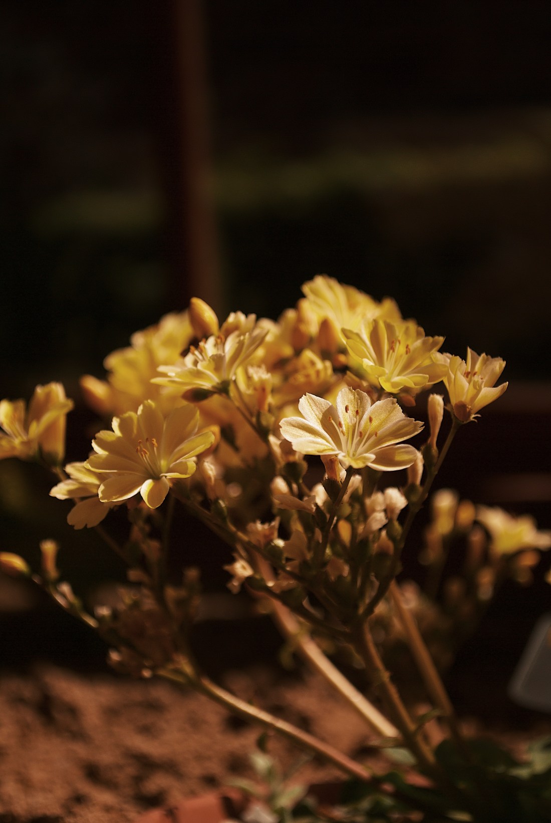 Processed with VSCO with g7 preset