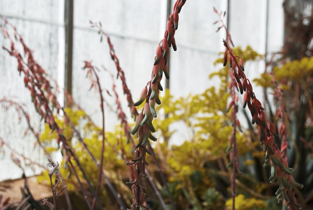 Processed with VSCO with g7 preset