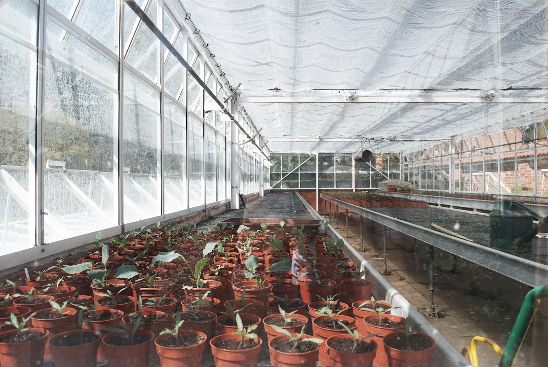 Processed with VSCO with g7 preset