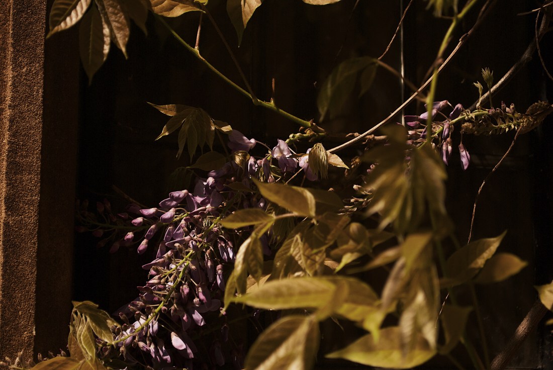 Processed with VSCO with g7 preset