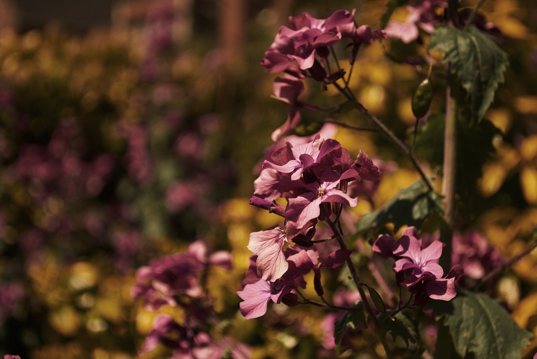 Processed with VSCO with g7 preset