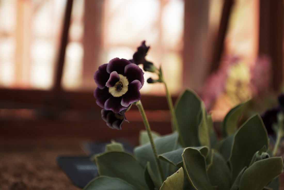 Processed with VSCO with g7 preset