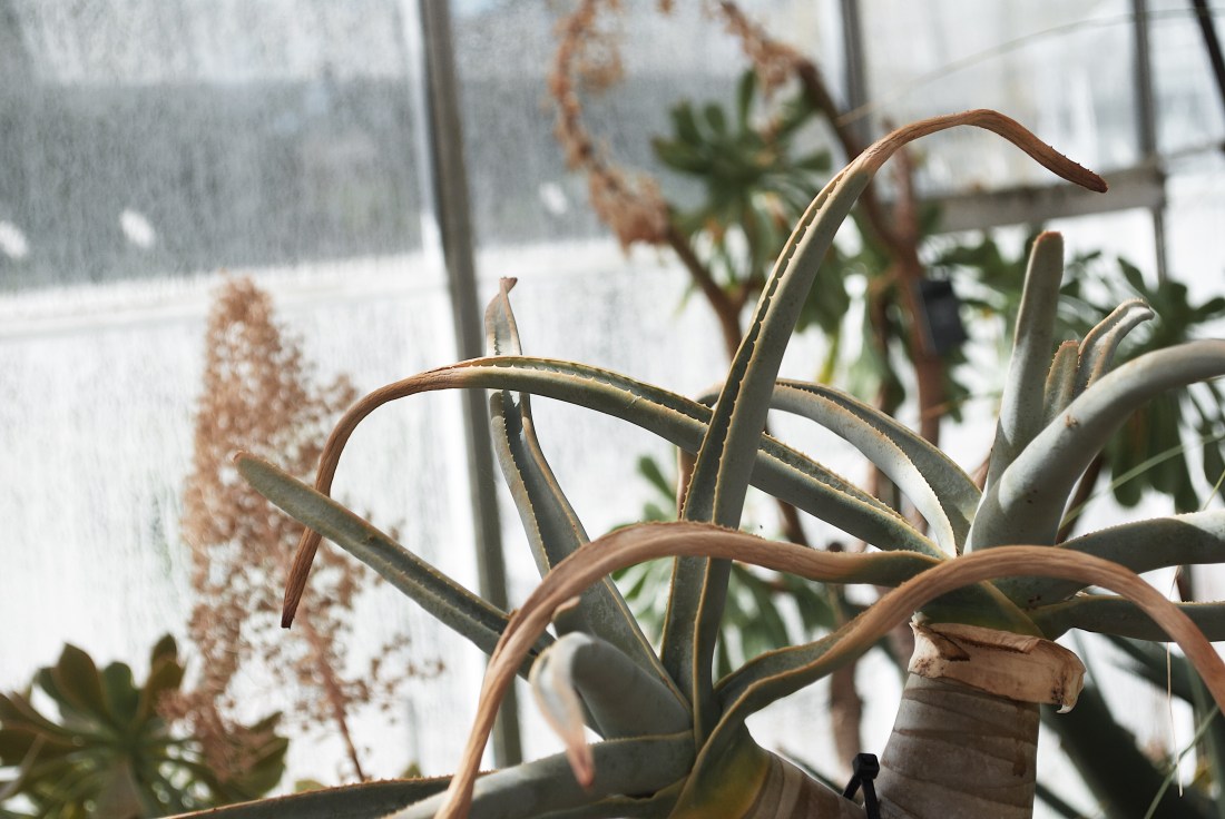 Processed with VSCO with g7 preset