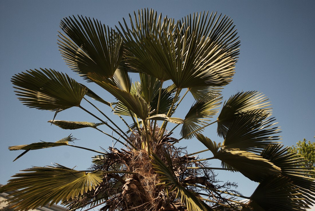 Processed with VSCO with g7 preset