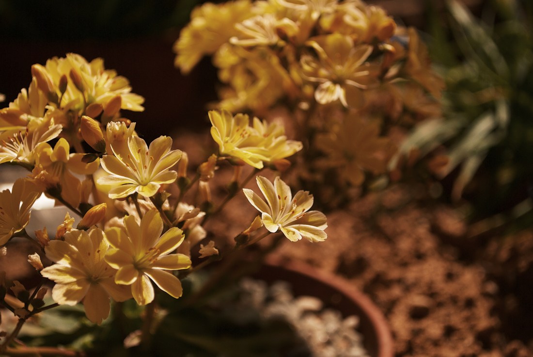 Processed with VSCO with g7 preset