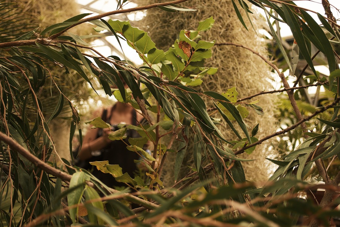 Processed with VSCO with g7 preset