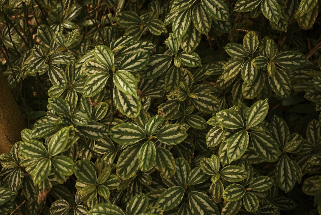 Processed with VSCO with g7 preset