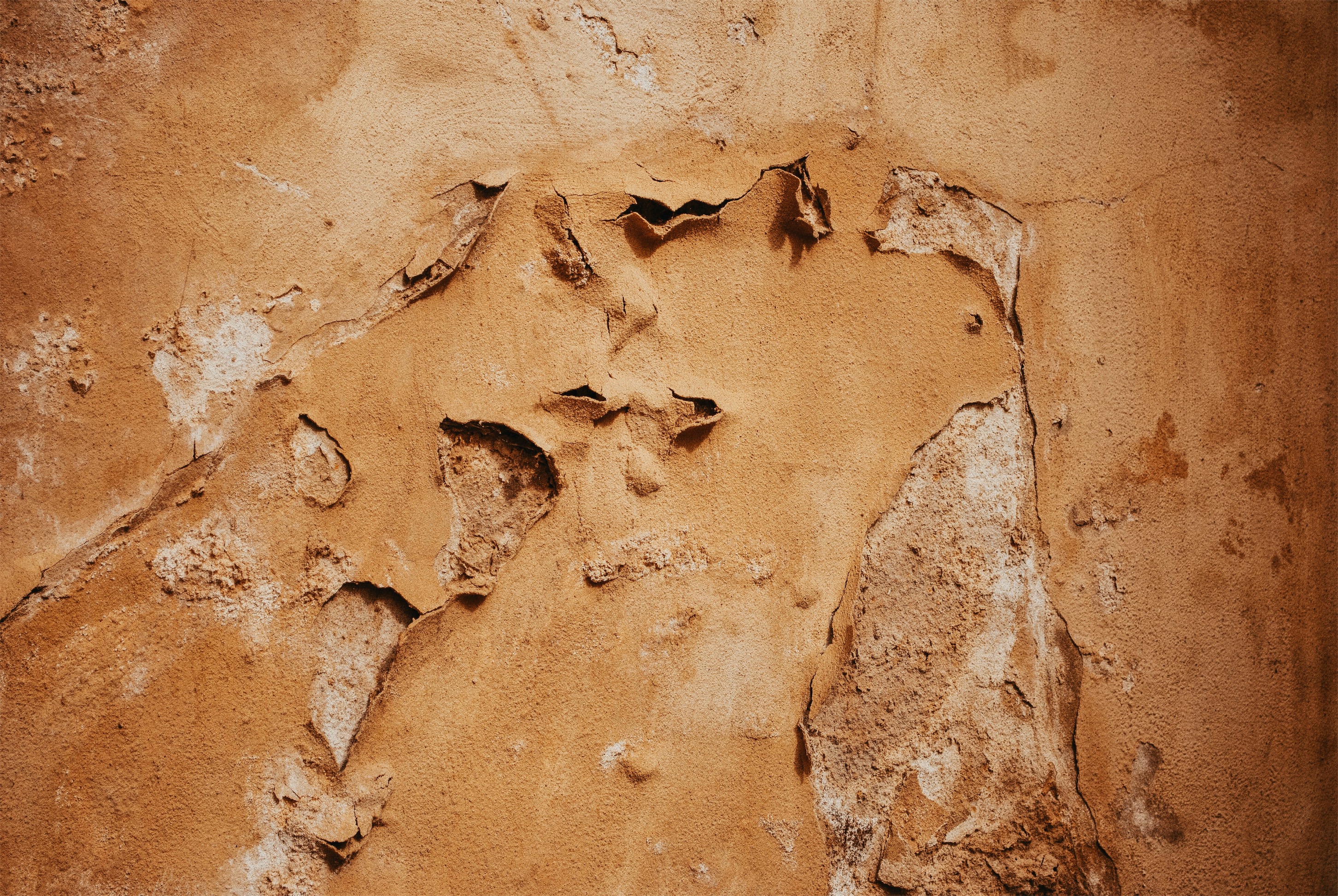 Processed with VSCO with a6 preset