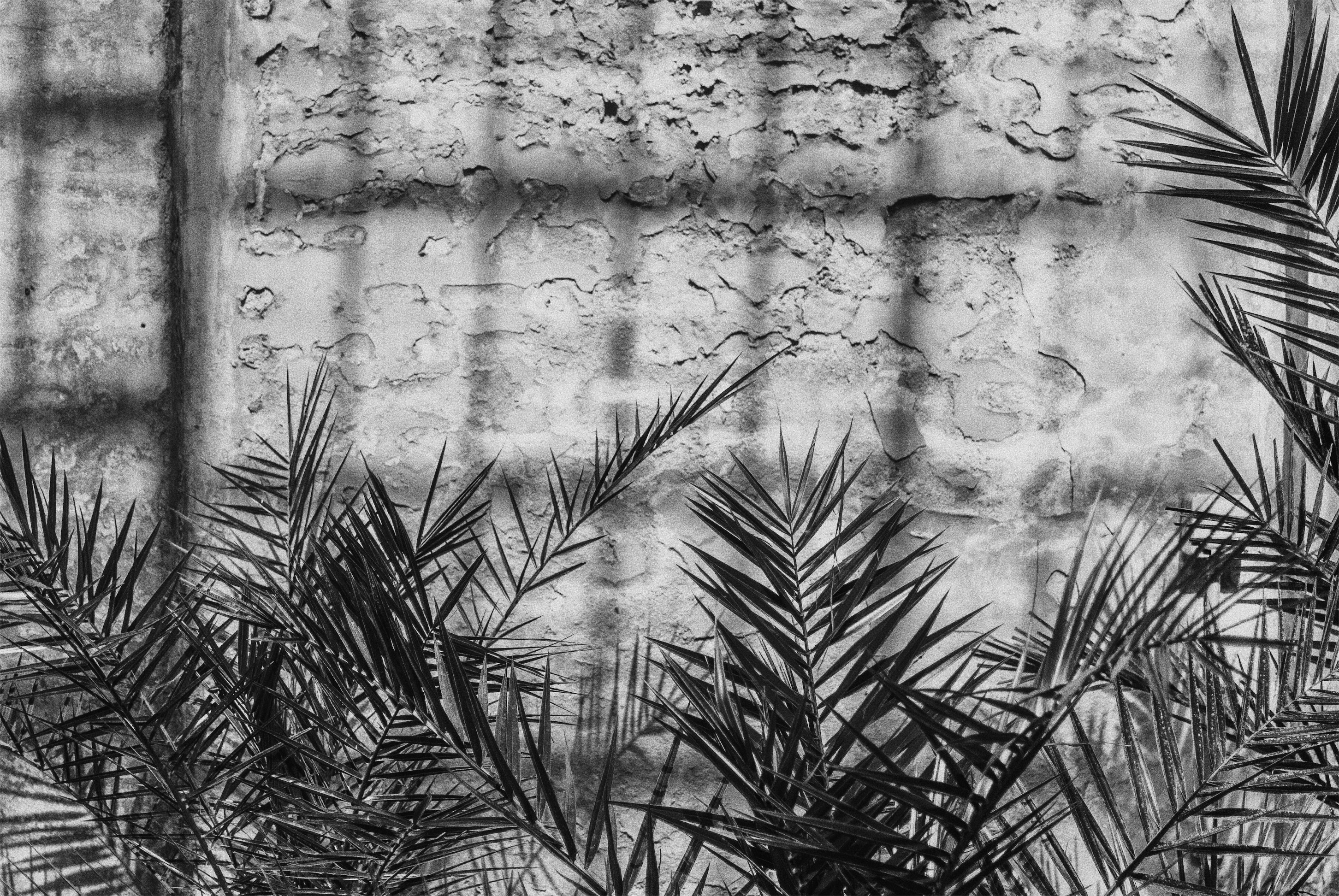 Processed with VSCO with 3 preset