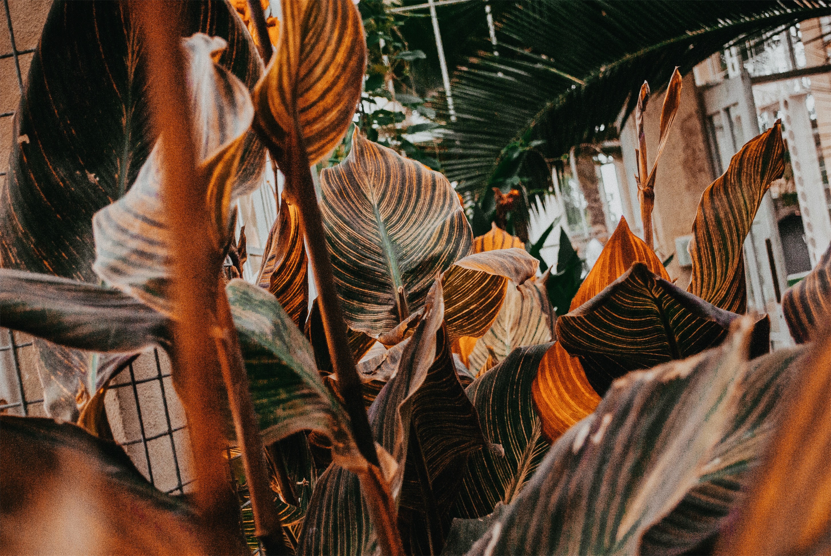 Processed with VSCO with a6 preset