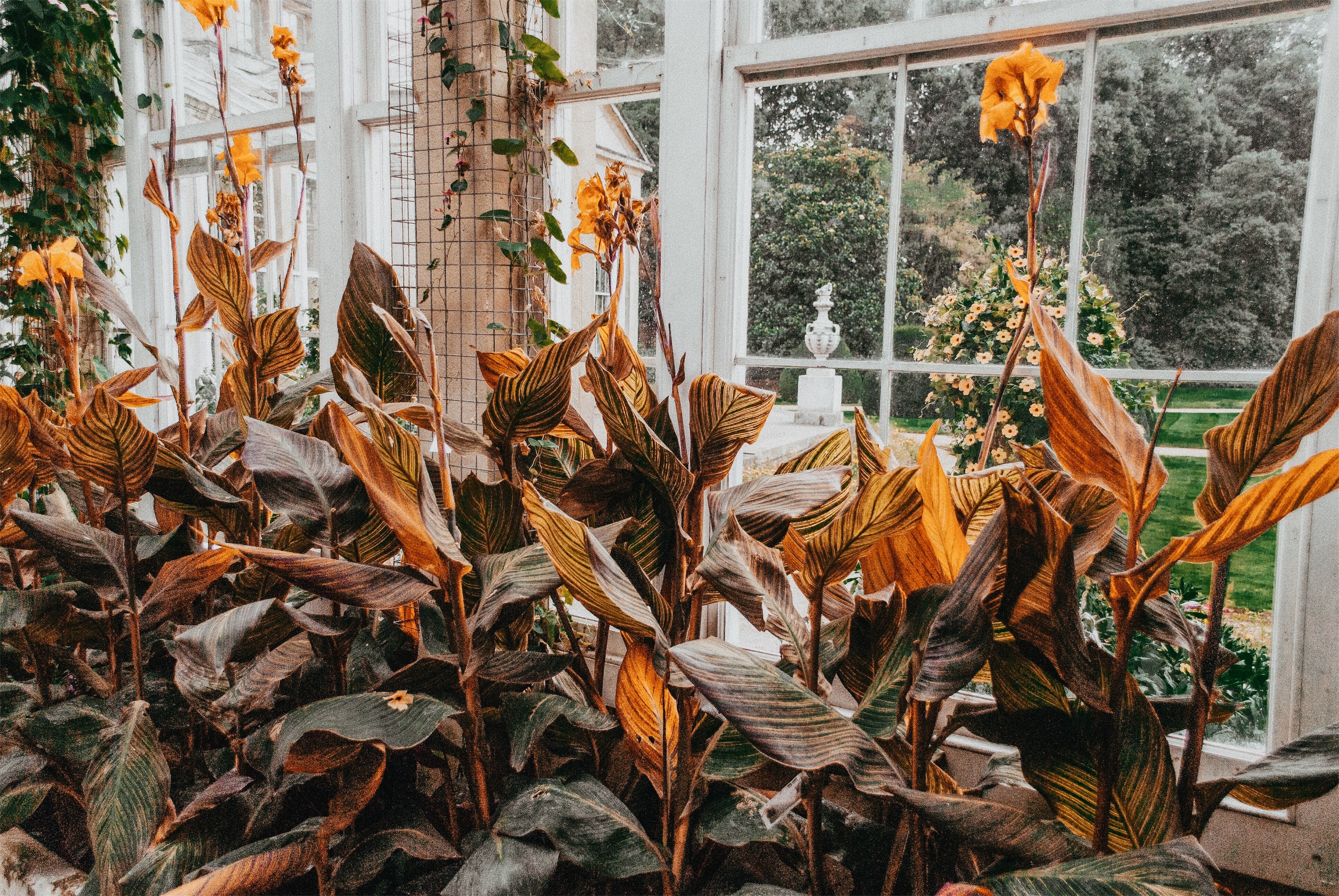 Processed with VSCO with a6 preset