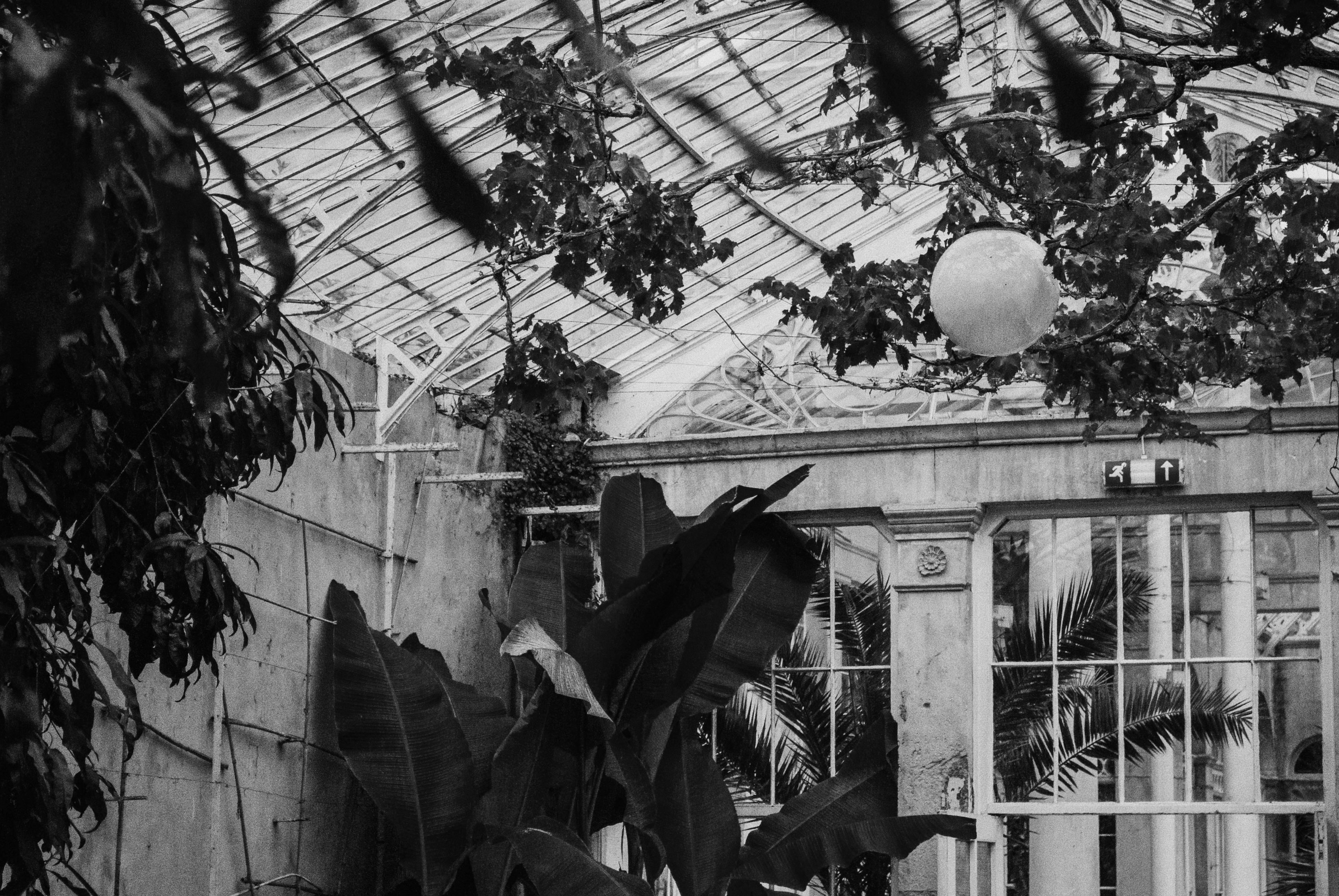 Processed with VSCO with 1 preset