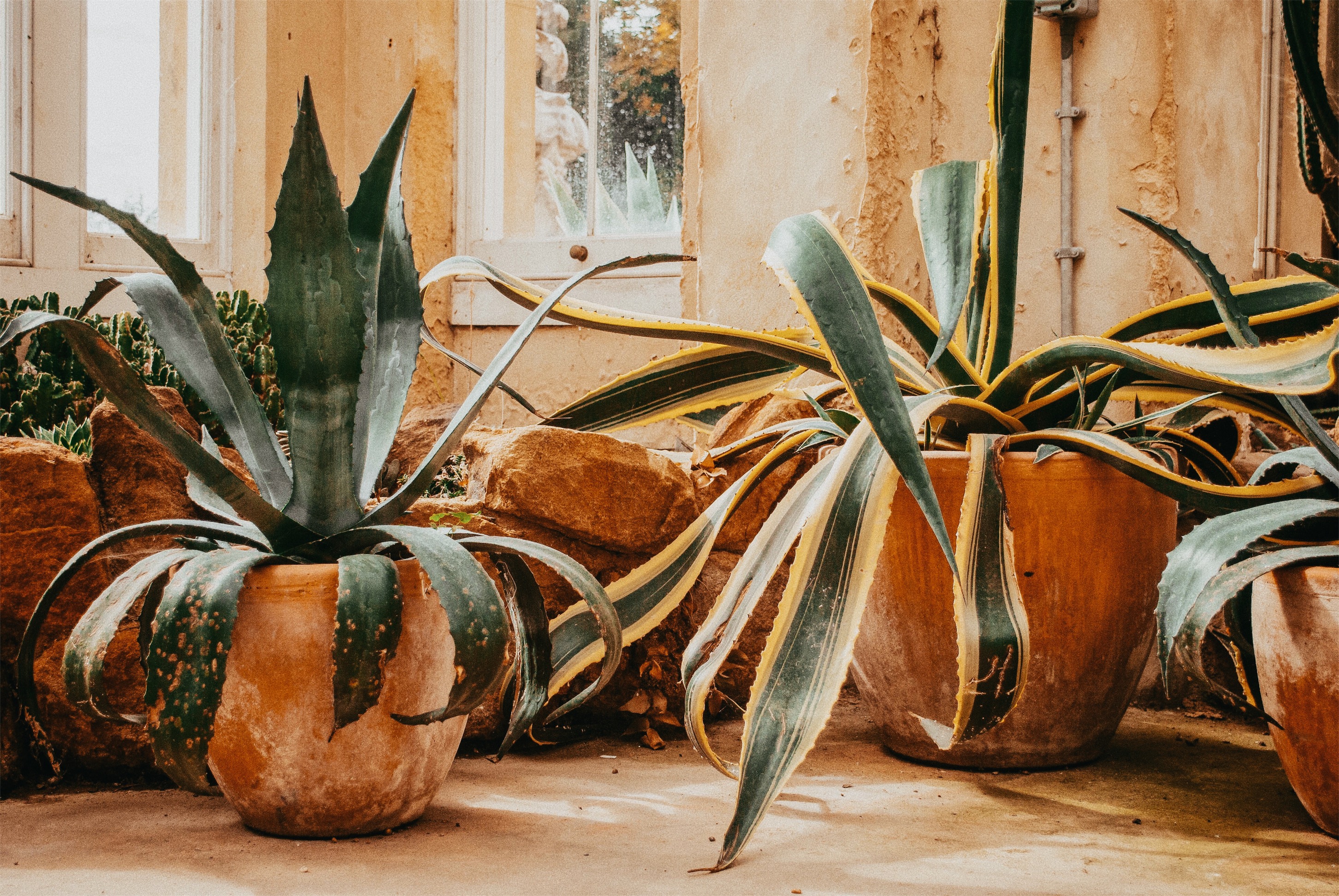 Processed with VSCO with a6 preset