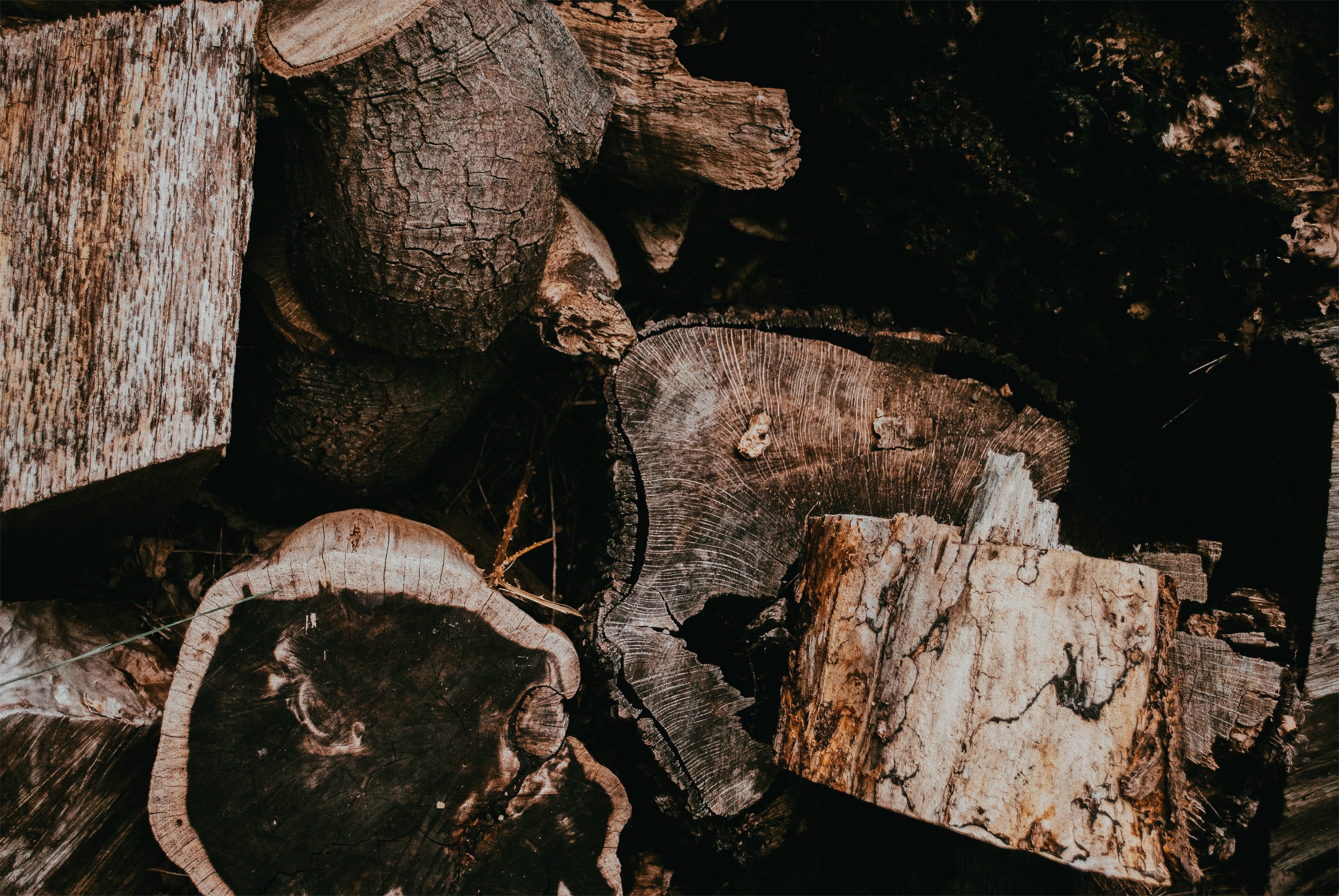 Processed with VSCO with a6 preset