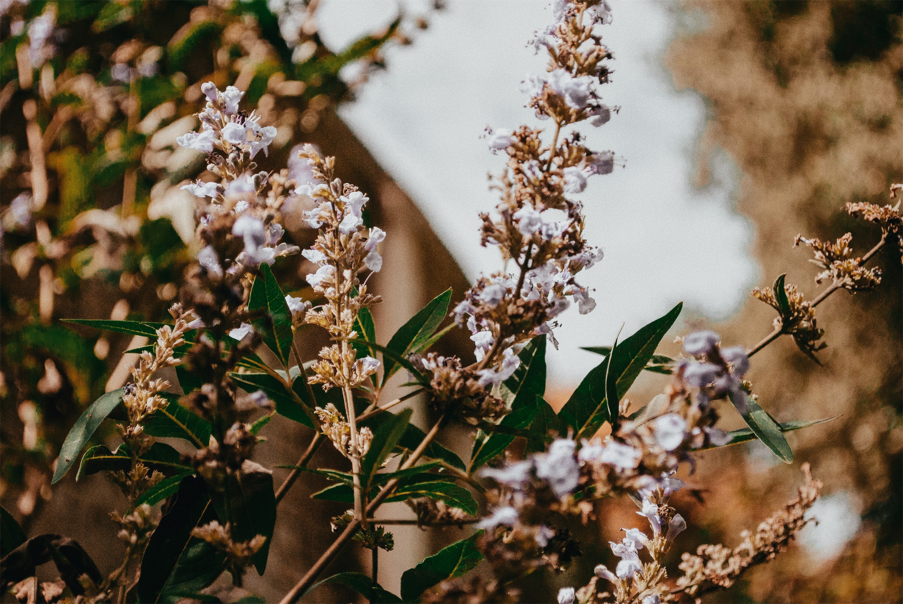 Processed with VSCO with a6 preset