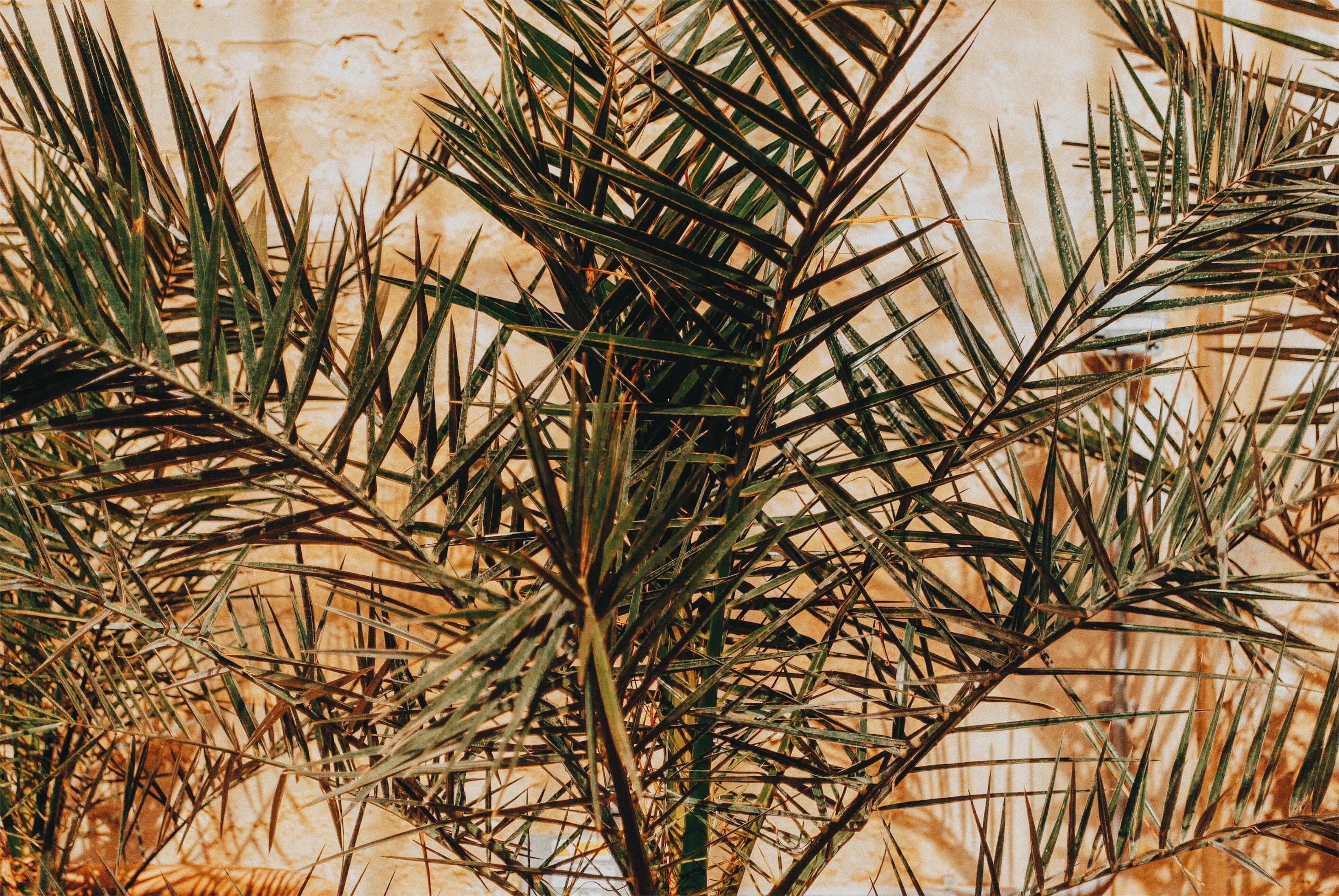 Processed with VSCO with a6 preset