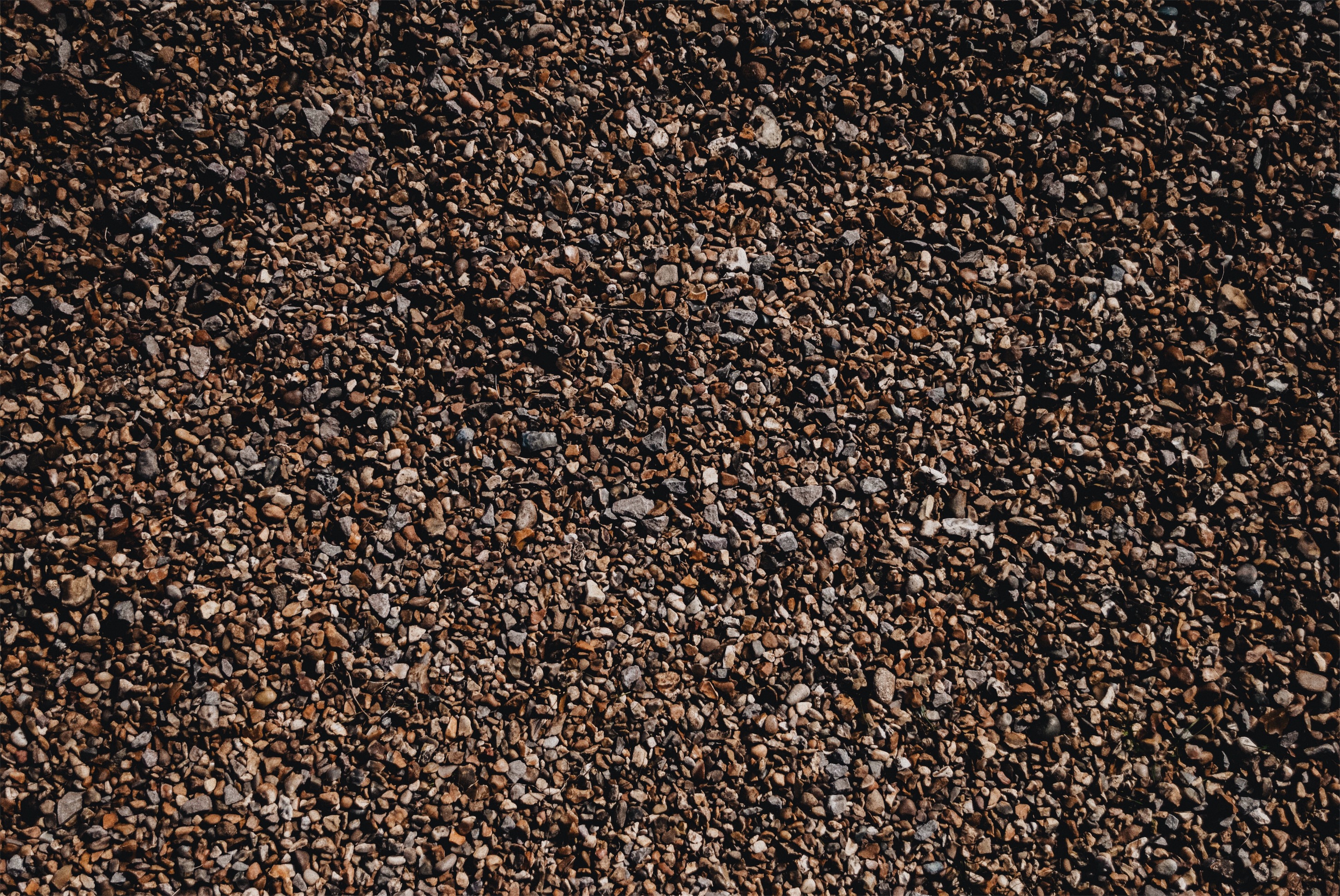 Processed with VSCO with a6 preset