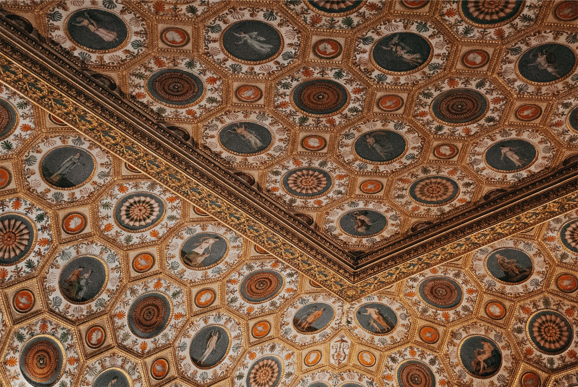 Processed with VSCO with a6 preset