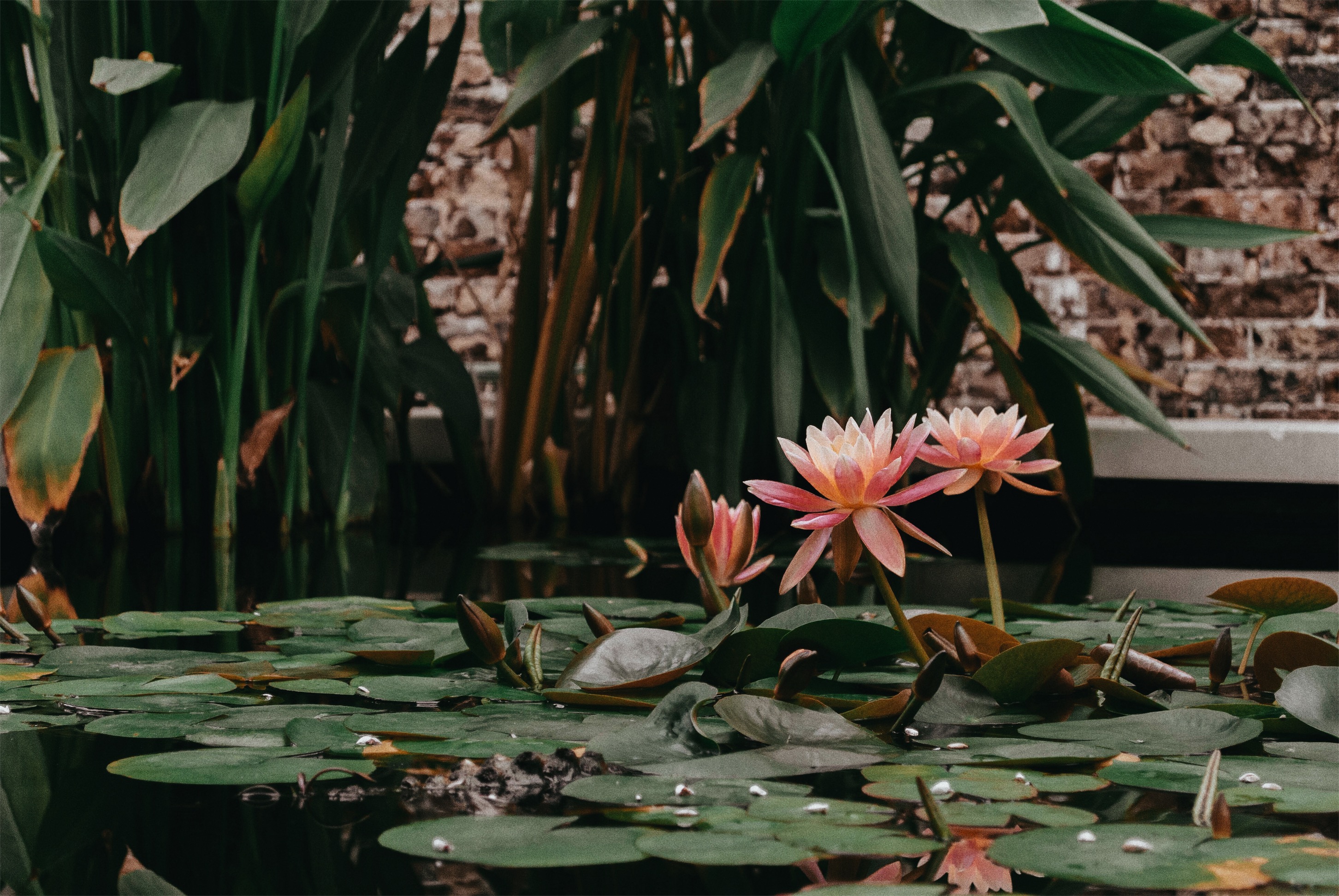 Processed with VSCO with a6 preset