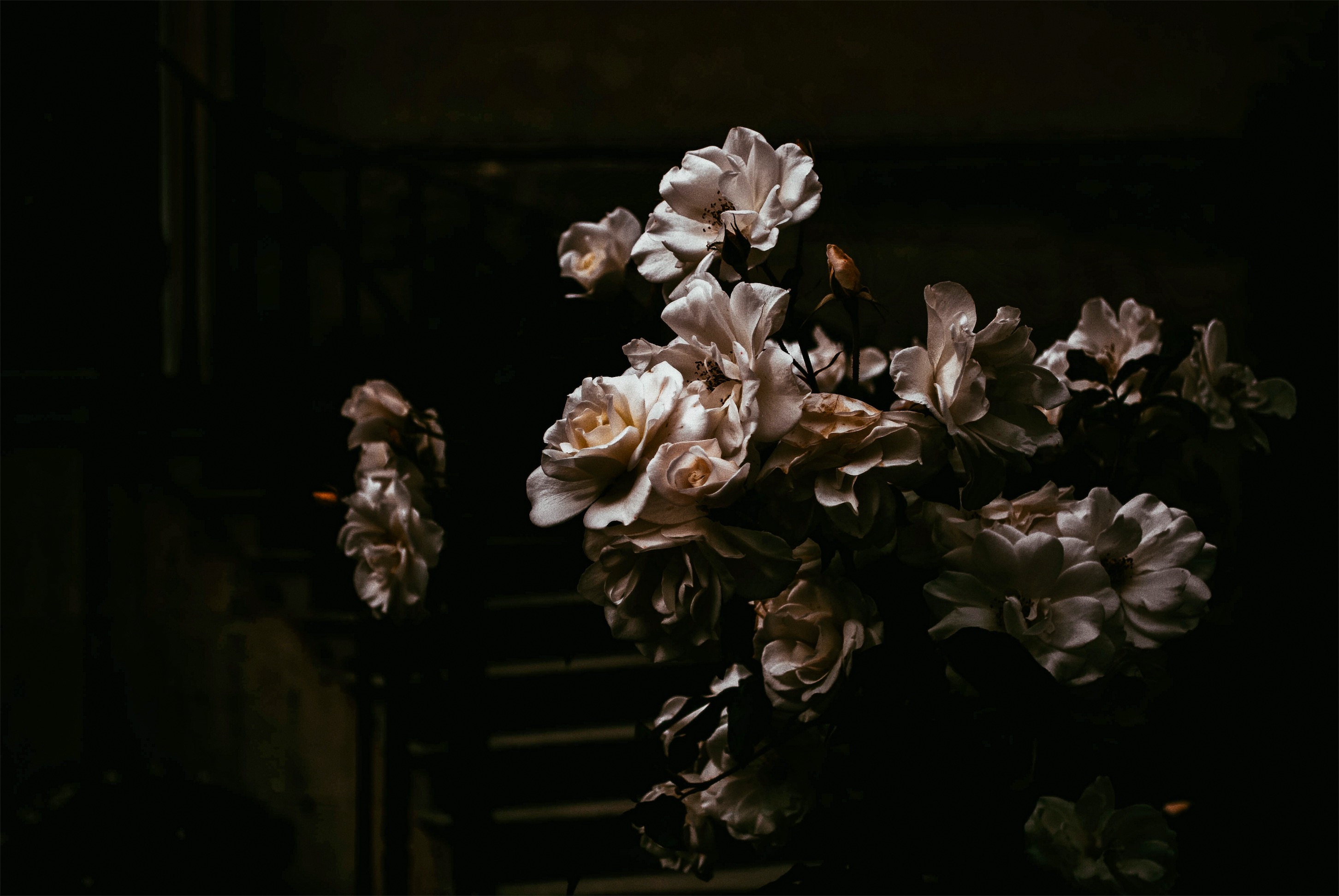 JPEG image-FBA03C315EA5-2