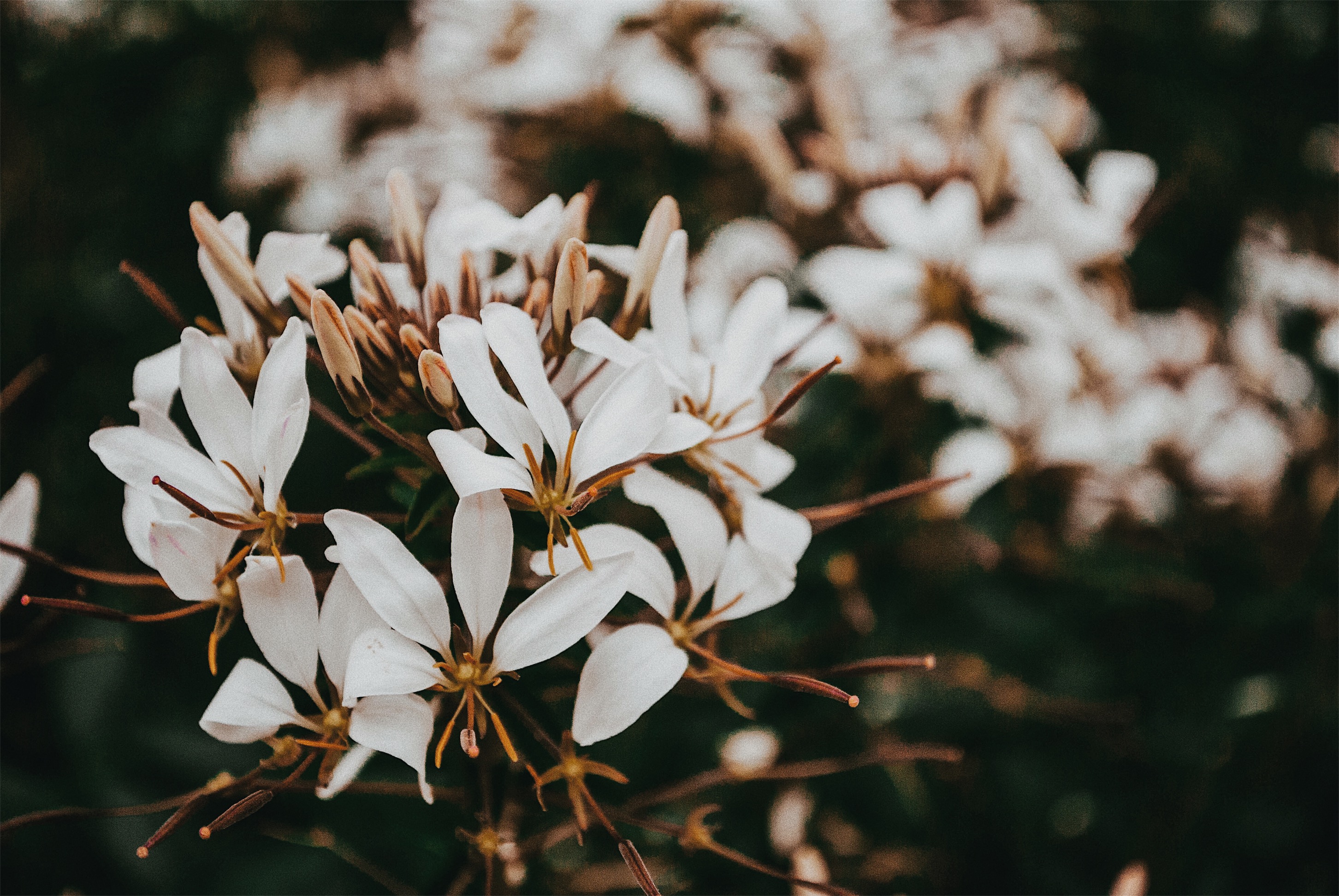 Processed with VSCO with a6 preset