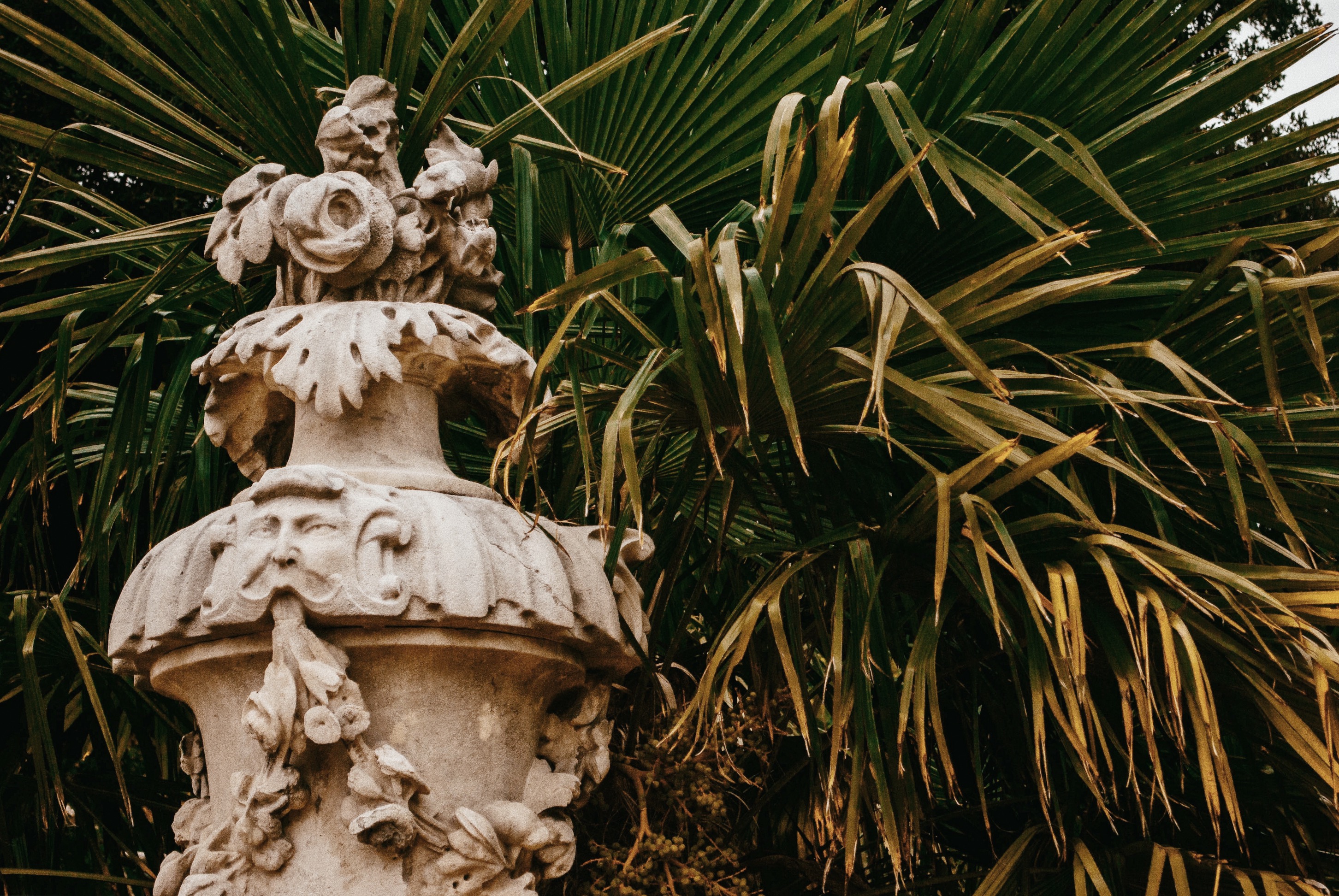 Processed with VSCO with a6 preset