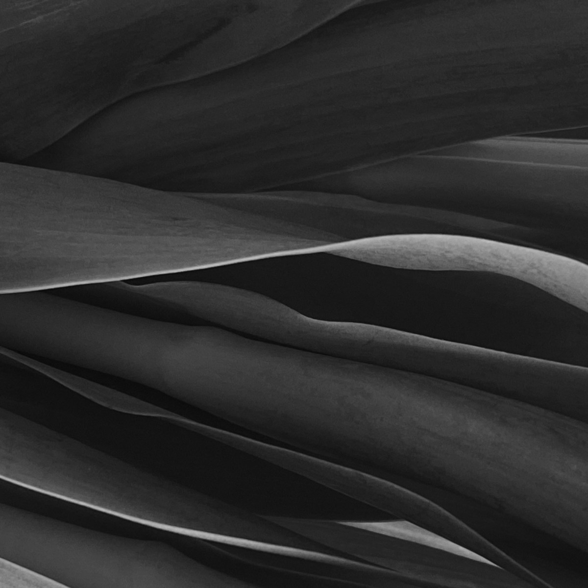 Time In: Lockdown-Friendly Activities